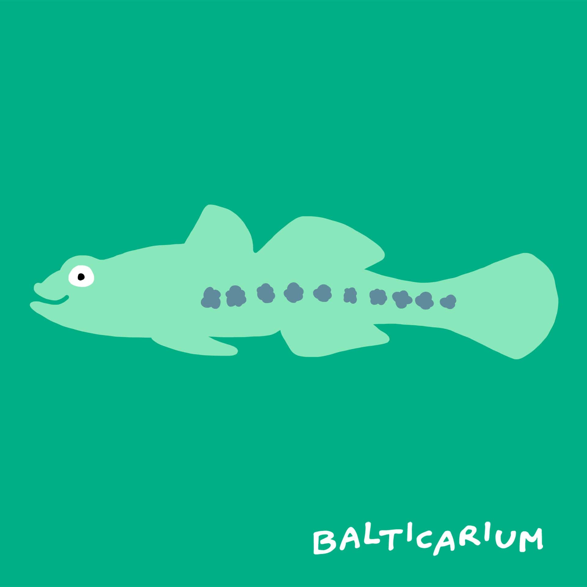 balticariium