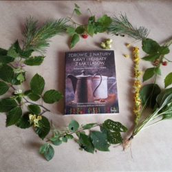 Zdrowie z natury. Kawy i herbaty z łąk i lasów – Artur Bokła, Katarzyna Mikulska