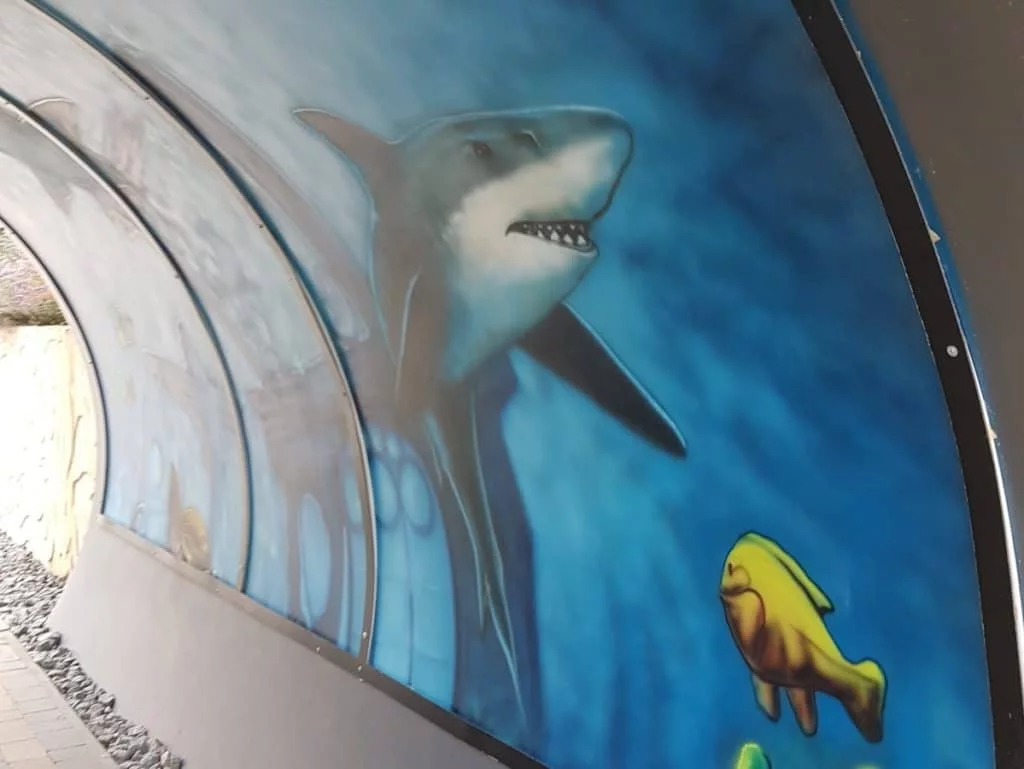 ocean park 