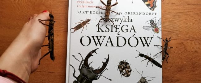 Niezwykła księga owadów – Bart Rossel