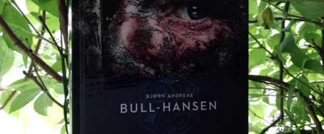 Jomswiking. Czas ognia i żelaza – Bjørn Andreas Bull-Hansen