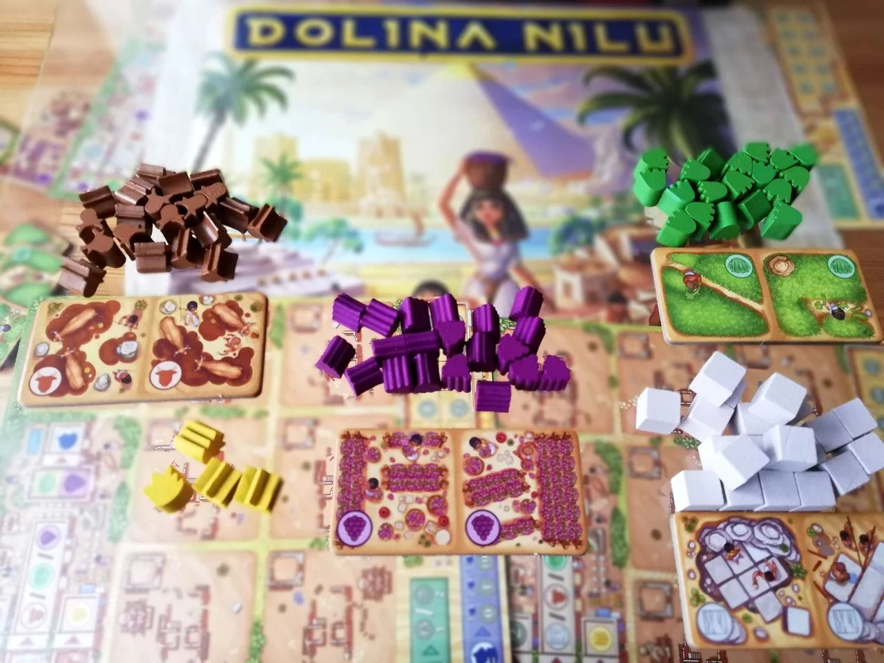 Fot. Dolina Nilu Fot. Dolina Nilu