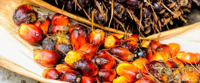 Usuń olej palmowy z listy zakupów… zrobisz przysługę światu i samemu sobie!