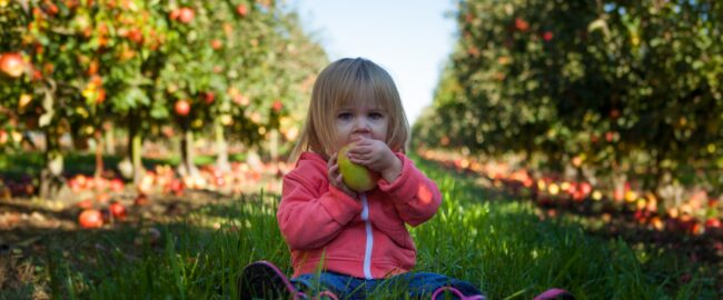 Jak komponować dietę dziecka, aby uniknąć niedoborów składników odżywczych i witamin?
