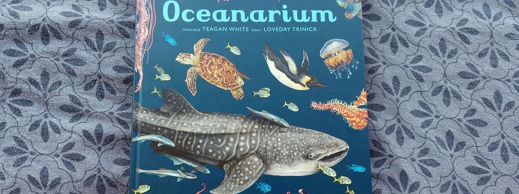 Oceanarium. Muzeum Oceanu