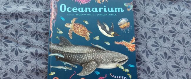 Oceanarium. Muzeum Oceanu – Loveday Trinick
