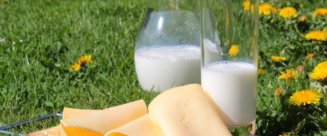 Czas odkrywać mleczne smaki. Rusza kampania „Polskie produkty mleczne każdego dnia”