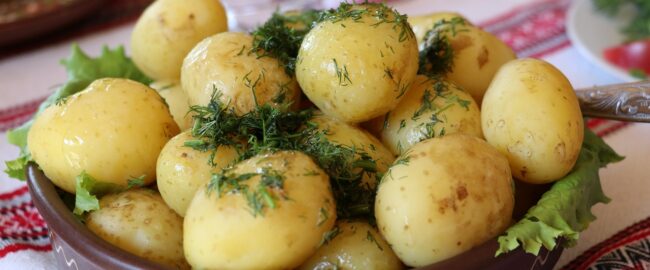 Mikrobiota jelitowa – czy ziemniaki mogą ją wzmacniać?