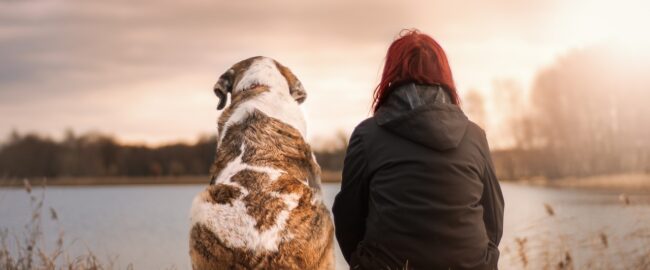Psy rozumieją nas lepiej niż partnerzy i są na to dowody – badanie Preply