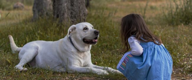 Jak oswoić psa z nowym członkiem rodziny? Cenne wskazówki psiego behawiorysty