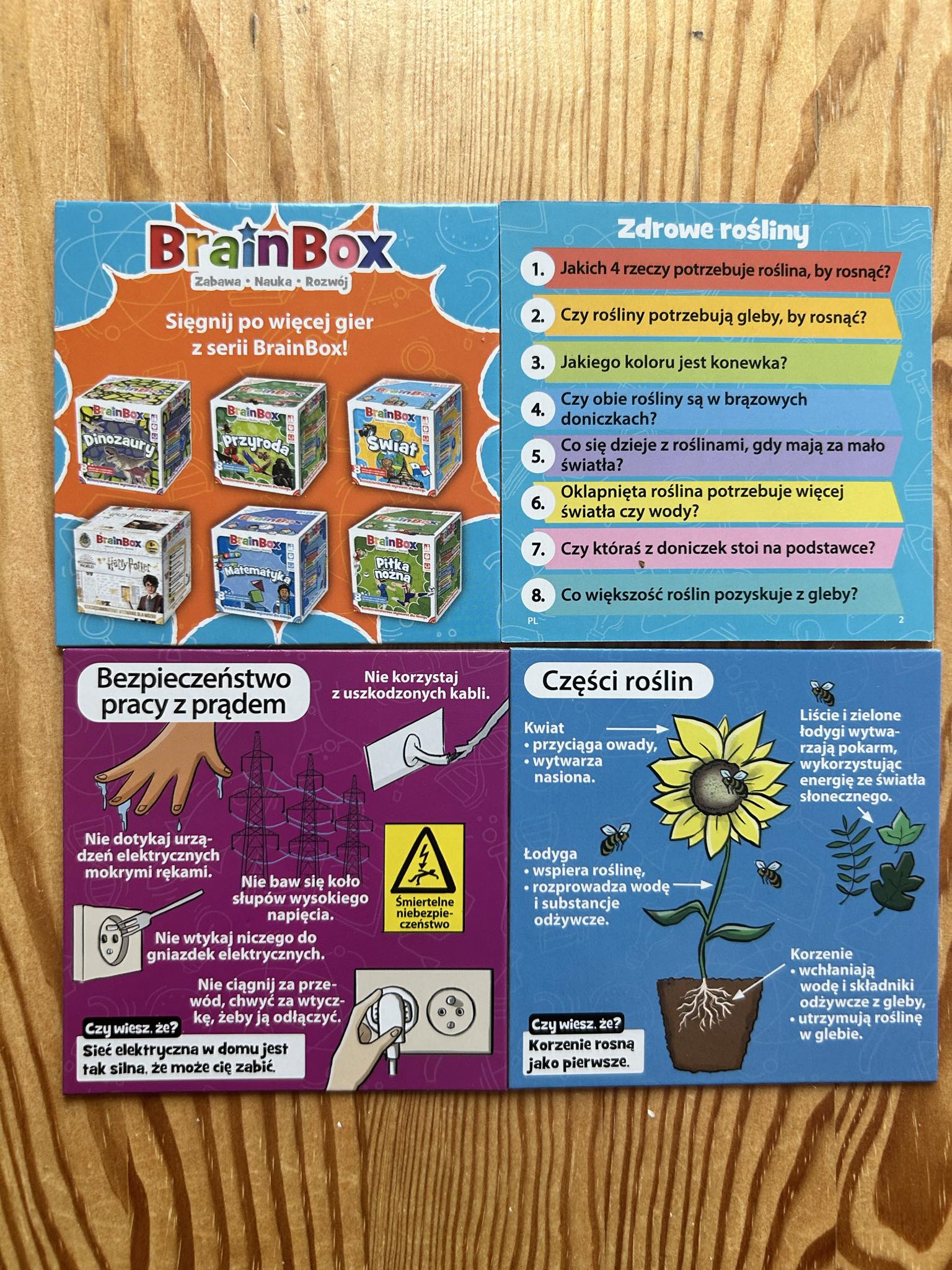 Brainbox: nauka