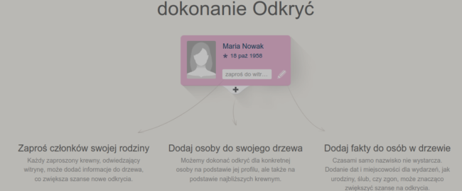 Dlaczego warto założyć drzewo genealogiczne?