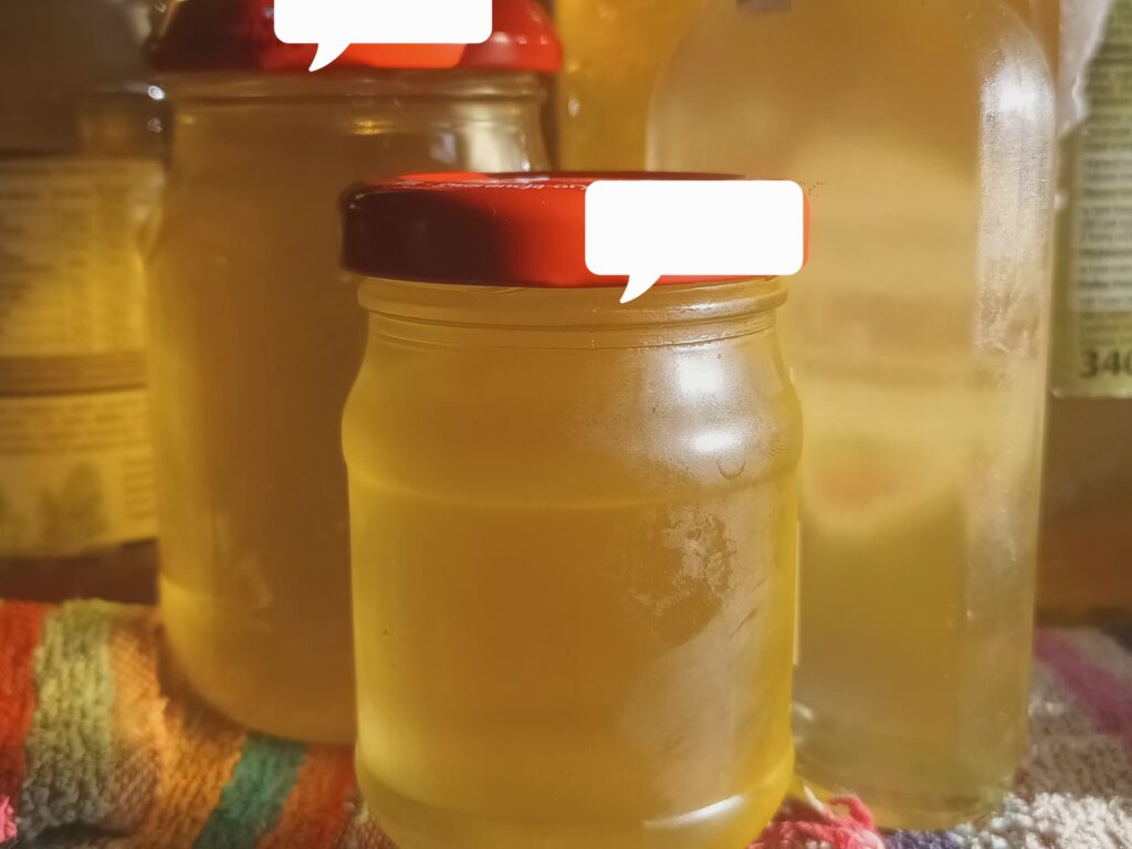 Syrop z młodych pędów sosny