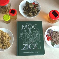 Moc ziół. Zielarki i ich sekretne przepisy – Sylwia Kawalerowicz