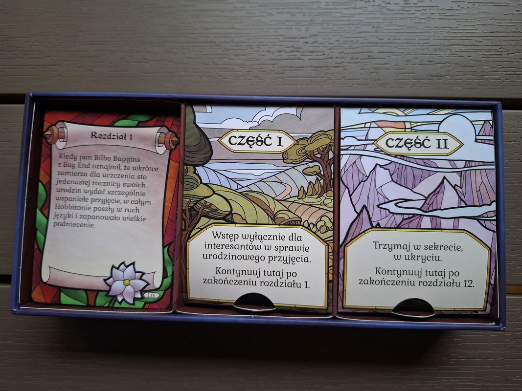 Drużyna Pierścienia