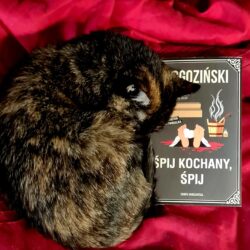 Śpij kochany, śpij – Alek Rogoziński
