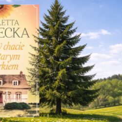 Lato w chacie pod starym świerkiem – Wioletta Piasecka